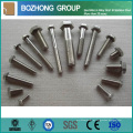 Parafusos Porcas Roscas Anilhas Parafusos Alloy Fasteners